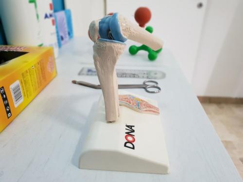 osteopatiamilano-massoterapista