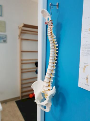 tecar-terapia-milano-fisioterapista